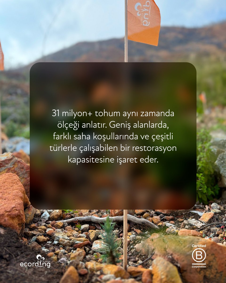 ecording | B Corp™ tweet media