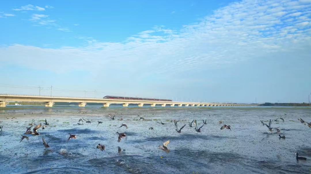 Discover Wujiang tweet media