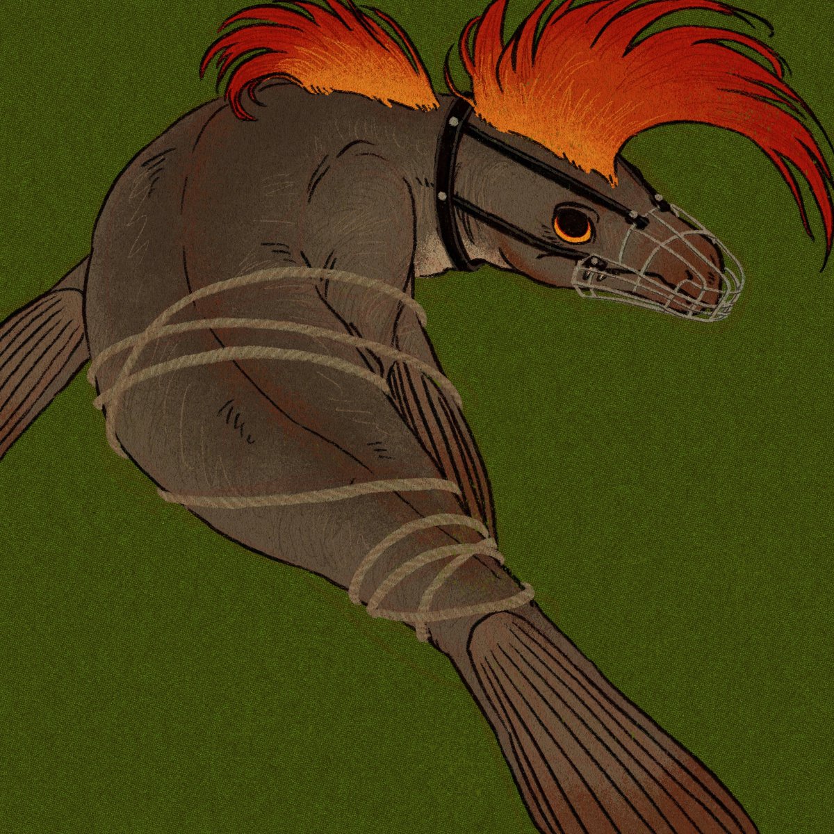 みさごチーズ🧀 tweet media