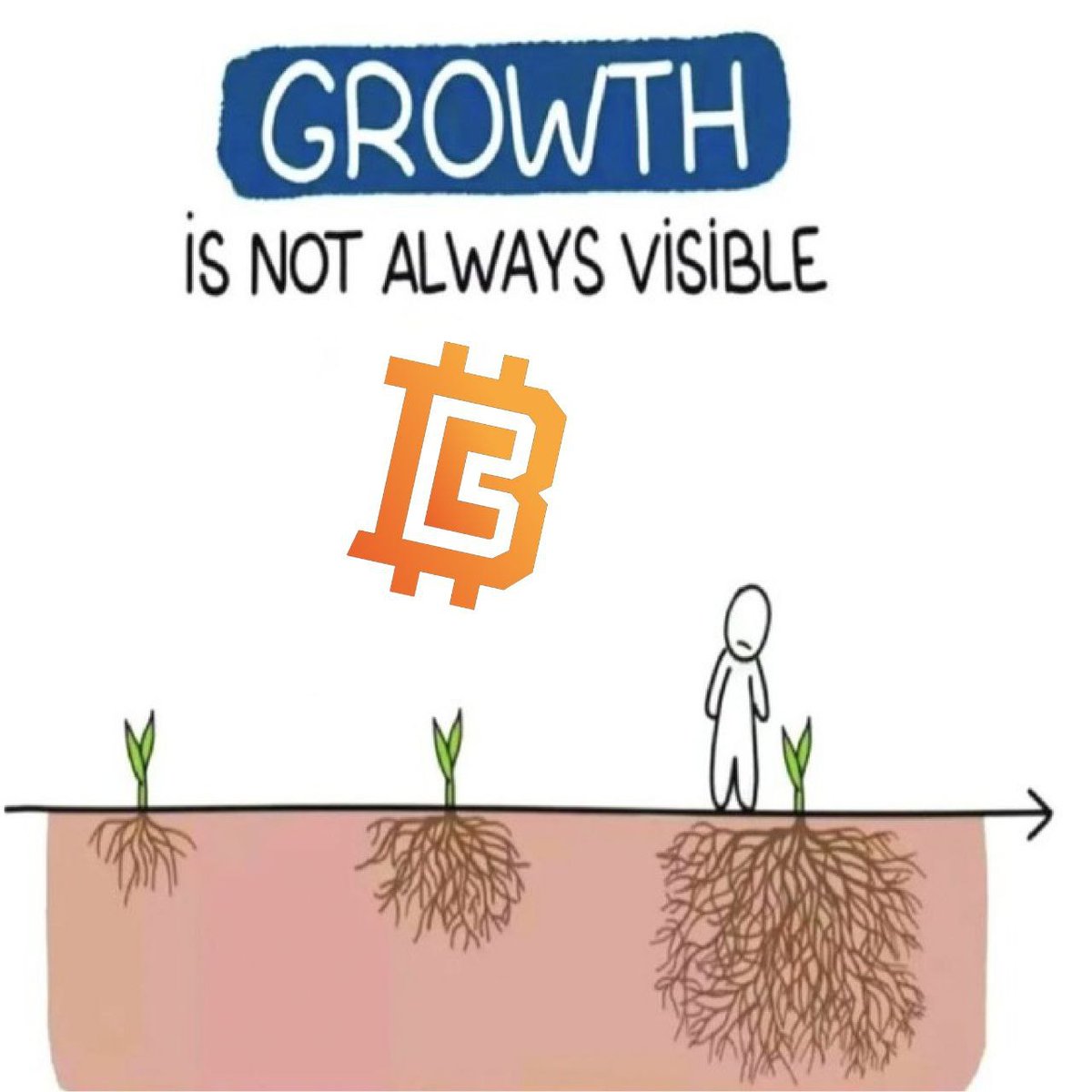 Bitcoin Code tweet media