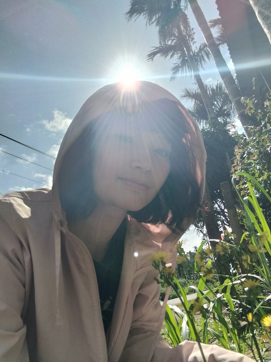 Trần Loan (The Sun_Happiness Map) tweet media