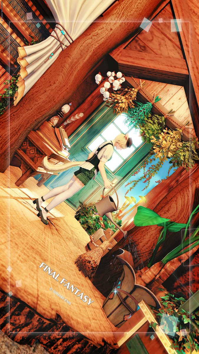 ELIO🐈⸒⸒⸒⸒🐾 tweet media