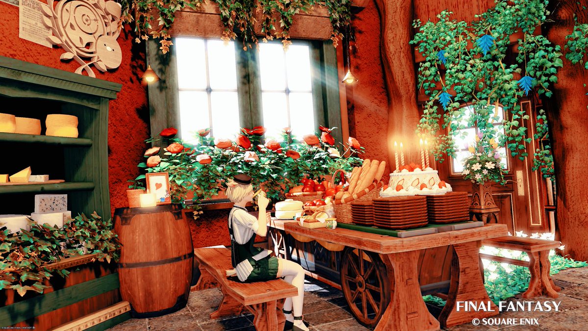 ELIO🐈⸒⸒⸒⸒🐾 tweet media