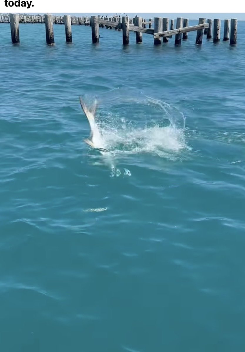 Marie 🏝️💃 tweet media