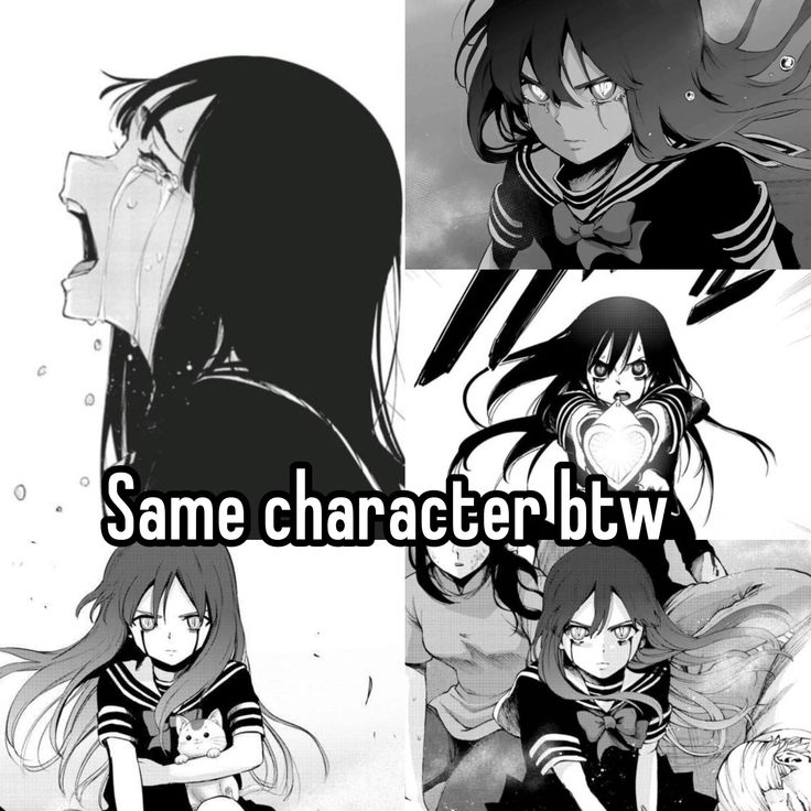 Anime Daily tweet media
