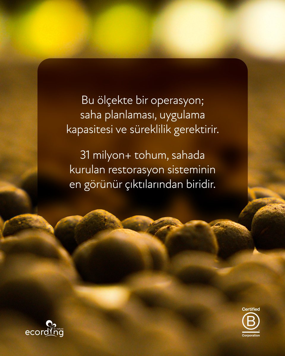 ecording | B Corp™ tweet media