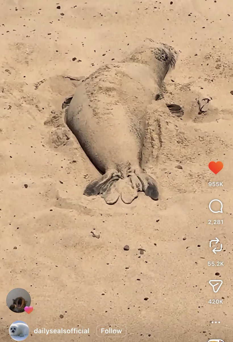 スカルྀི tweet media