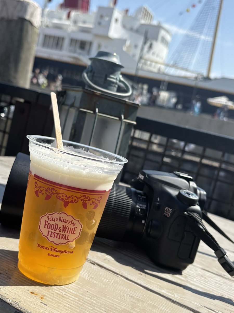 白部由依ﾁｬﾝ🐥奏音コレクト🐥 tweet media