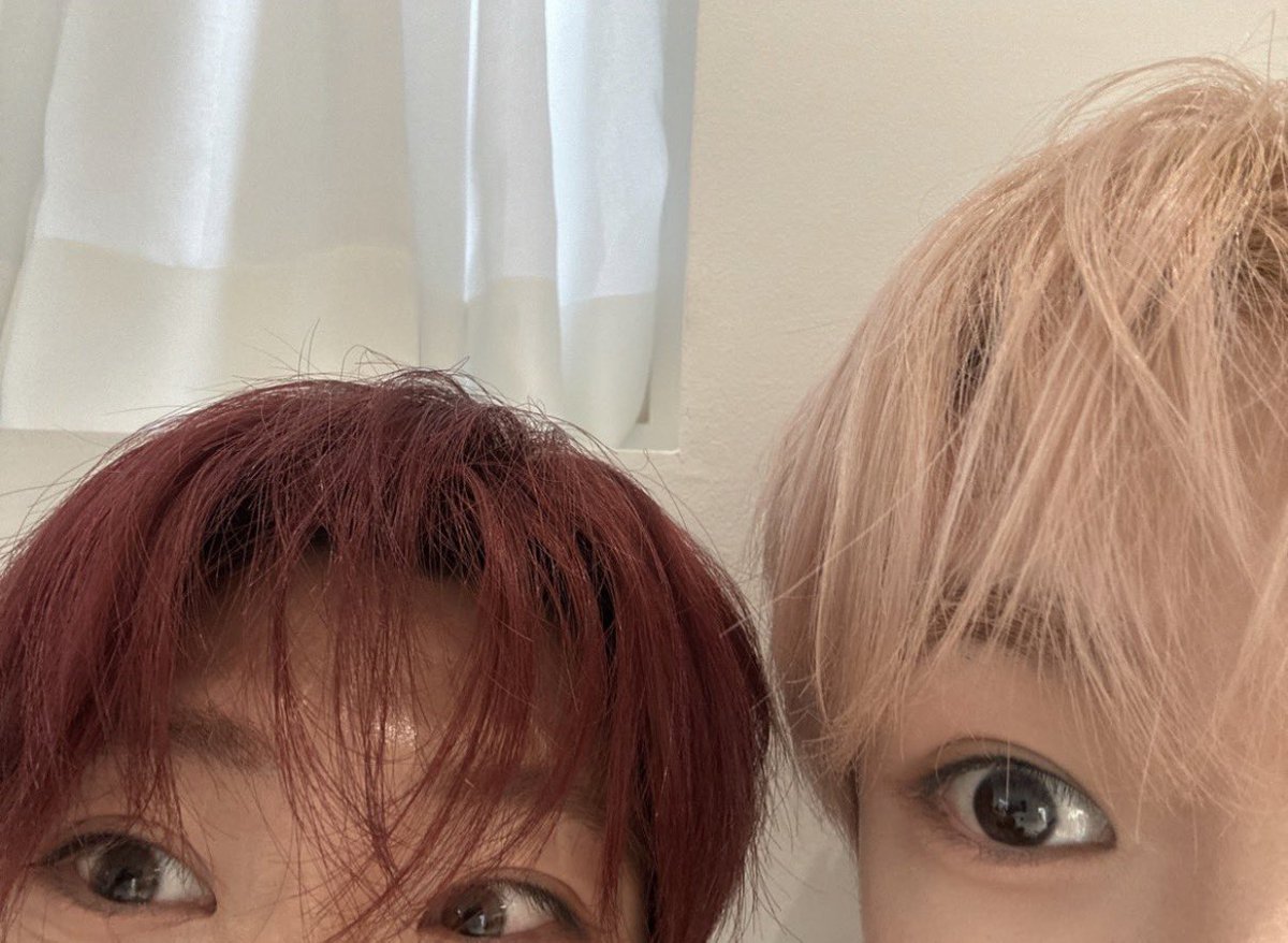 코순이 tweet media