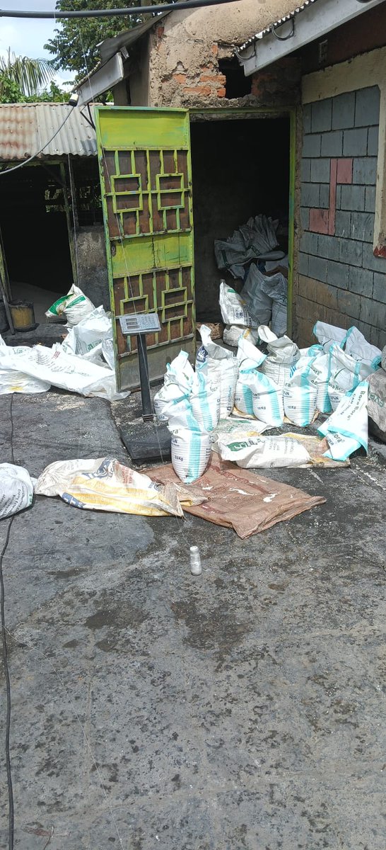 ACA_Kenya's tweet photo. Authorities Seize 250 Bags of Counterfeit Fertilizer in Kakamega Crackdown

In a significant blow to agricultural criminal networks, a multi-agency enforcement team has seized 250 bags of suspected counterfeit fertilizer in Kakamega County. The operation, which targeted illegal agricultural inputs at a critical juncture for the country's farming sector, involved the @ACA_Kenya , @DCI_Kenya , @KEBS_ke , and Government Chemists. Beyond the bulk fertilizer, investigators recovered various packaging materials and a consignment of government subsidy stock marked “Not for Sale,” suggesting a sophisticated scheme to divert and repackage state-funded resources for illegal trade.

The timing of this seizure is particularly alarming as it coincides with the ongoing rains and peak planting season. During this high-demand period, farmers across the country are actively investing their savings into agricultural inputs, making them vulnerable targets for exploiters. @tommuteti  , the ACA Regional Manager for Kisumu, emphasized that the presence of substandard fertilizer in the market is deeply concerning because it directly threatens crop yields and national food security. He noted that farmers rely on the authenticity of these inputs to achieve expected harvests, and any compromise at this early stage has far-reaching consequences for individual livelihoods and the broader economy.

The risks associated with counterfeit fertilizer extend beyond immediate financial loss, as substandard products can lead to long-term soil degradation and poor crop development. Such inputs often lack the essential nutrient balance required for healthy growth, resulting in stunted harvests that weaken the country’s overall food production capacity. By infiltrating the supply chain with fake goods, counterfeiters undermine government efforts to provide affordable, high-quality inputs through subsidy programs, effectively sabotaging the agricultural sector's growth.

In response to this threat, the @ACA_Kenya  has reiterated its commitment to sustained surveillance and enforcement through its multi-agency framework. Moving forward, officials are urging farmers and the general public to exercise extreme caution by purchasing fertilizers exclusively from authorized and reputable dealers. Farmers are encouraged to verify the authenticity of all products and to report any suspicious packaging or activities to the relevant authorities. Safeguarding the integrity of these inputs remains a top priority for the state to ensure that farmer investments are protected and that the nation's food supply remains secure.