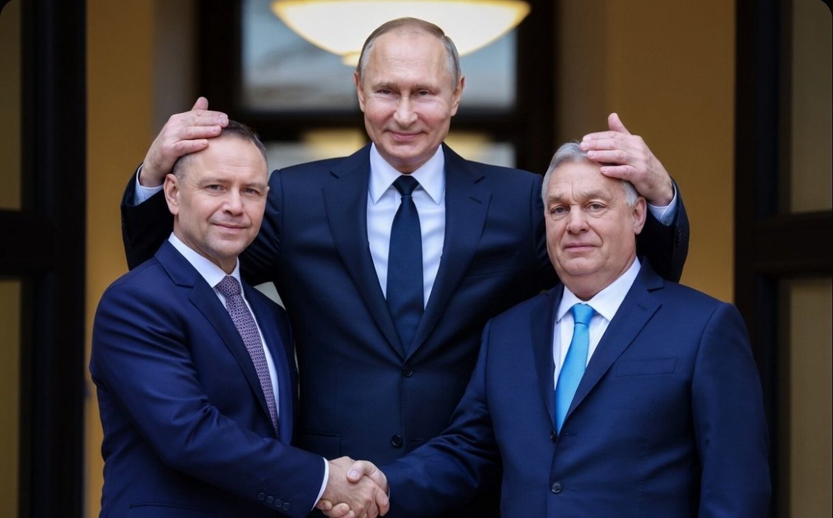 zbigniew🎶🇵🇱🇪🇺I stand w..🇺🇦 tweet media