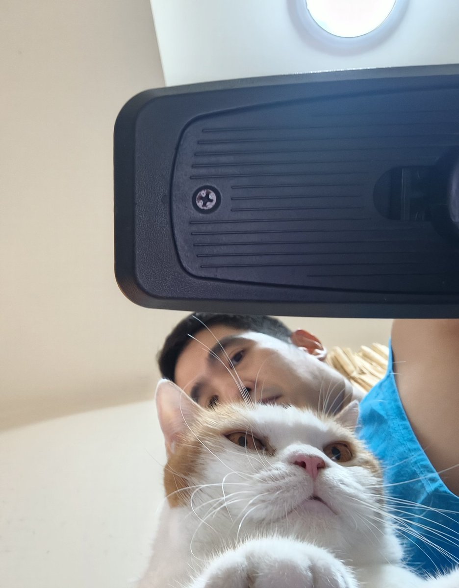 หนึ่งหนึ่งกับแมว7ตัว 😽🐱 tweet media