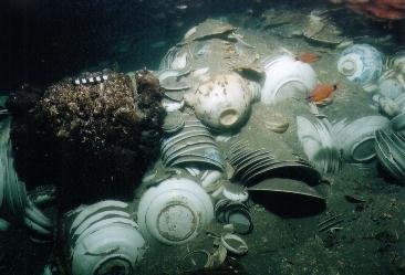 Guerra en la Universidad tweet media