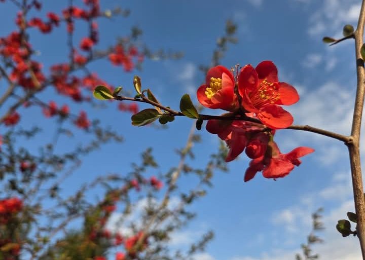 seppilicia's tweet image. La meraviglia?
È quando non smetti mai di stupirti di fronte alla bellezza di ciò che vedi
#home