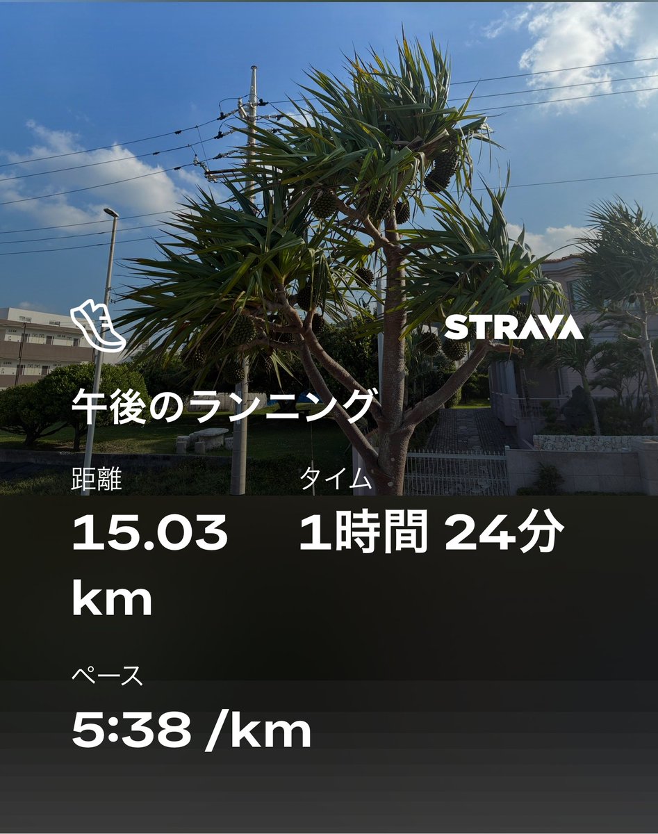 リオ｜音と海と走る経営者 tweet media