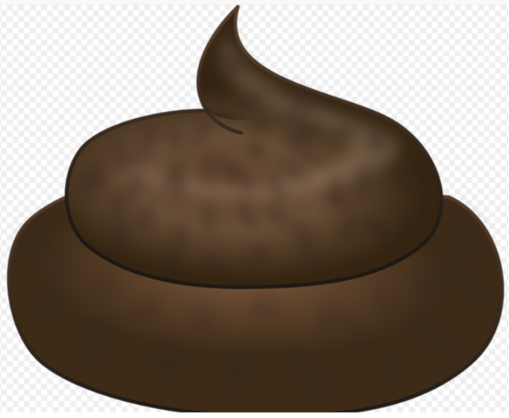 Peter Stewart tweet media