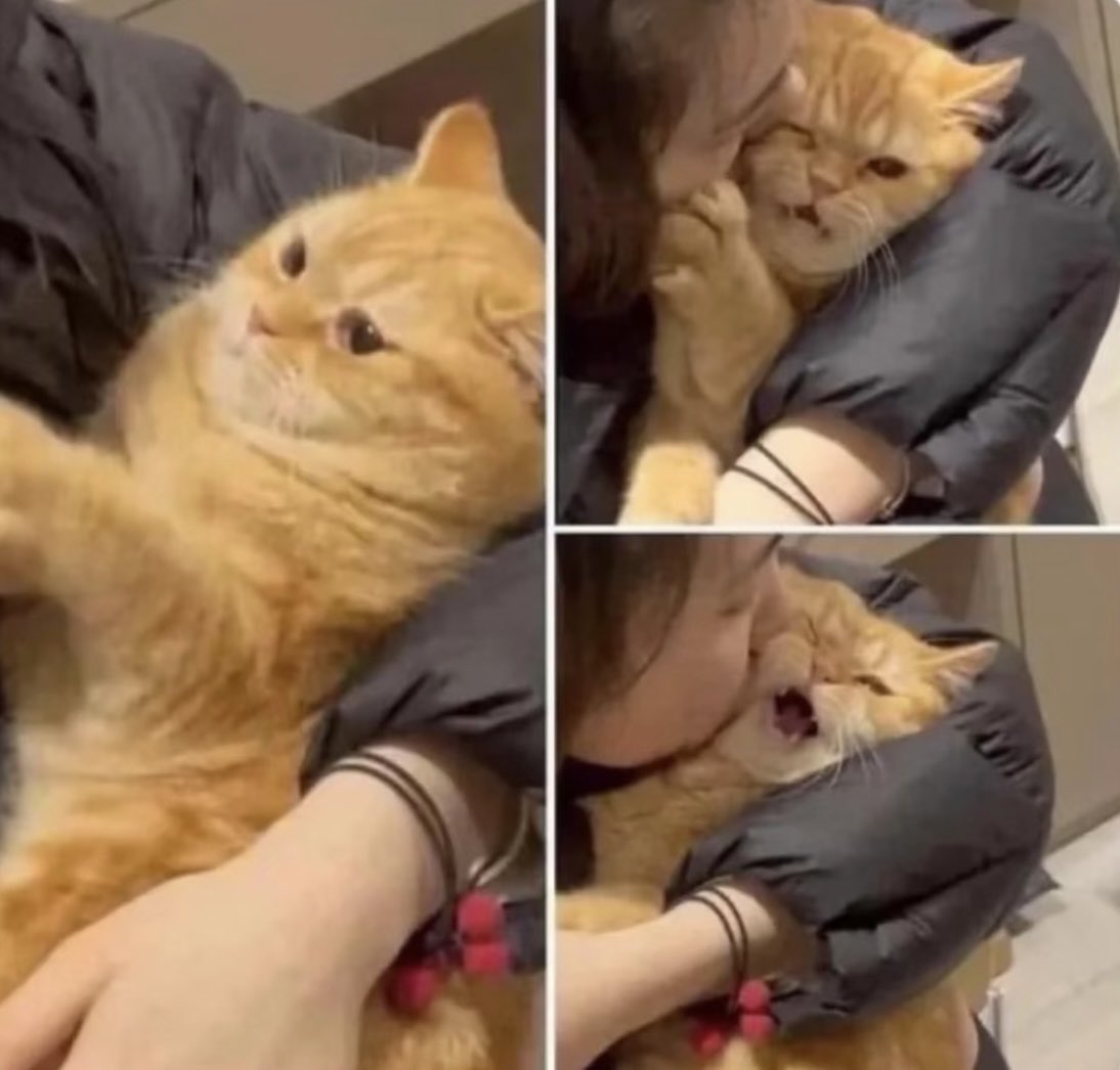 I see no difference 

#숩텬 #신뢰즈 #taebin #trustiez