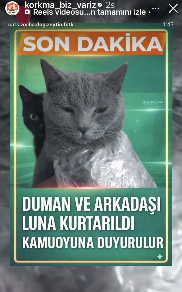 UzayMekanİnsan tweet media