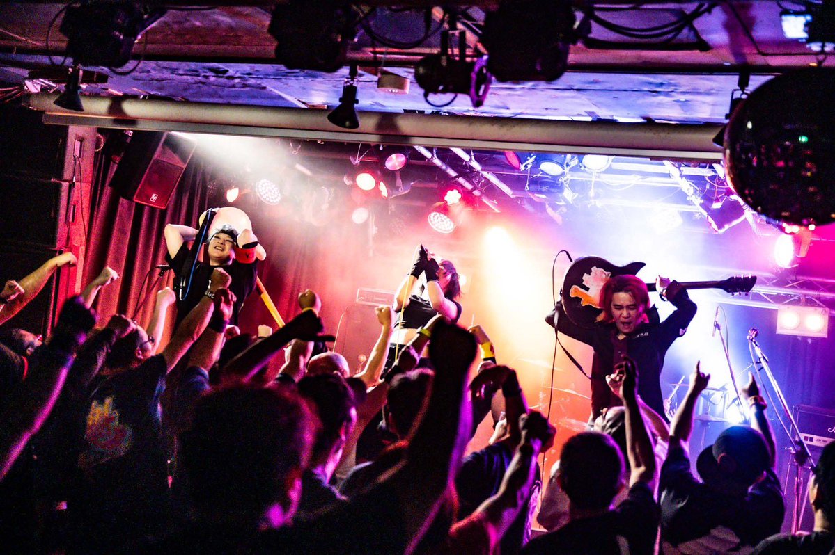 魁-KAI-🐚ALLiCA@8/15恵比寿LIQUIDROOMワンマン tweet media