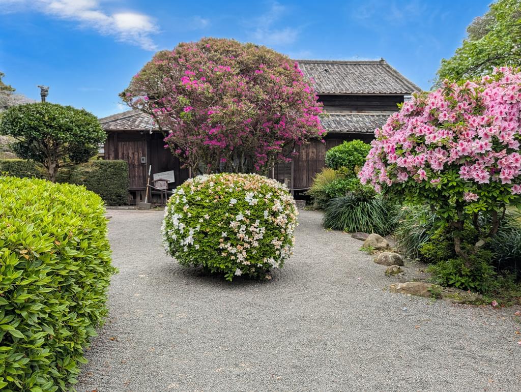 TheMasayaSato's tweet image. 飫肥の小村寿太郎記念館。美しい日本家屋。外門から入口までのアプローチ上にある草木が綺麗。
The Komura Jutaro Memorial Museum in Obi. A beautiful Japanese house. The plants and trees along the approach from the outer gate to the entrance are lovely.

#themasayasato #obi