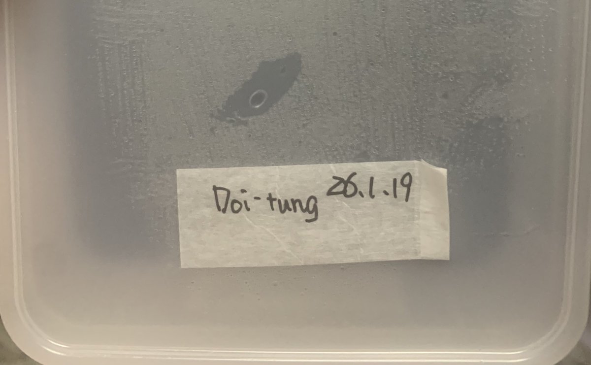 ひろぽん💉 tweet media