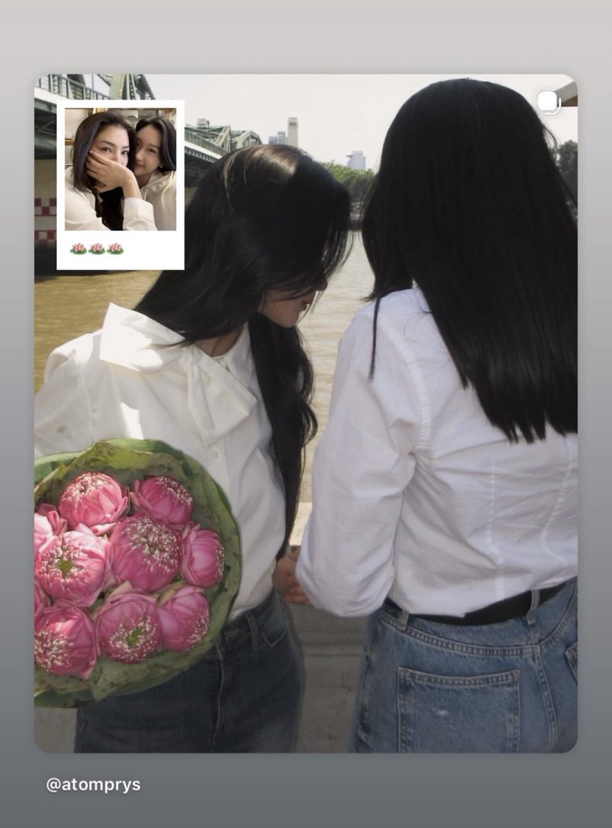 Song lyric:

“Just meeting you makes my heart flutter
Just one look into your eyes and I’m hooked.
I fell in love at first sight...
Do you feel it too?
Please, open your heart and let me know.
I’ve never loved anyone this fast,
It’s been years since I’ve felt this way.
But now,