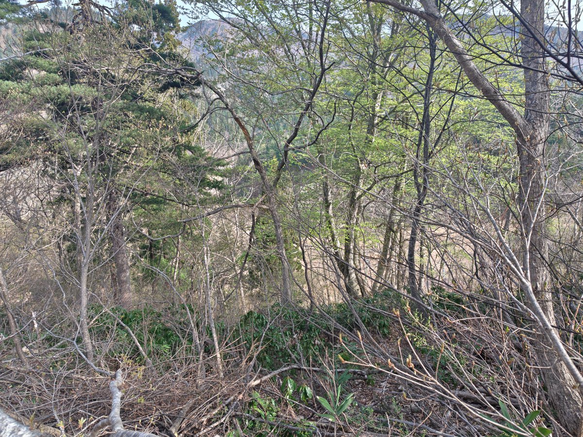 会津高原南郷スキー場 tweet media