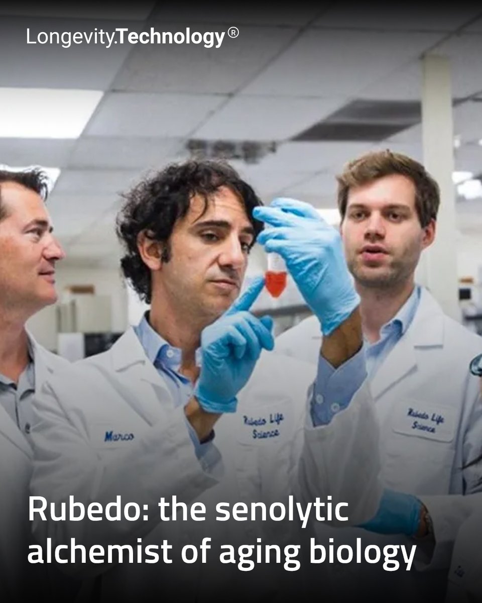 LongevityTech's tweet image. Mountain View biotech’s lead GPX4 modulator, RLS-1496, has delivered positive preliminary Phase 1 results in first human trial of a GPX4 modulator.

vist.ly/4z36w

#longevity #geroscience #gpx4 #clinicaltrials #biotech

@LifeRubedo