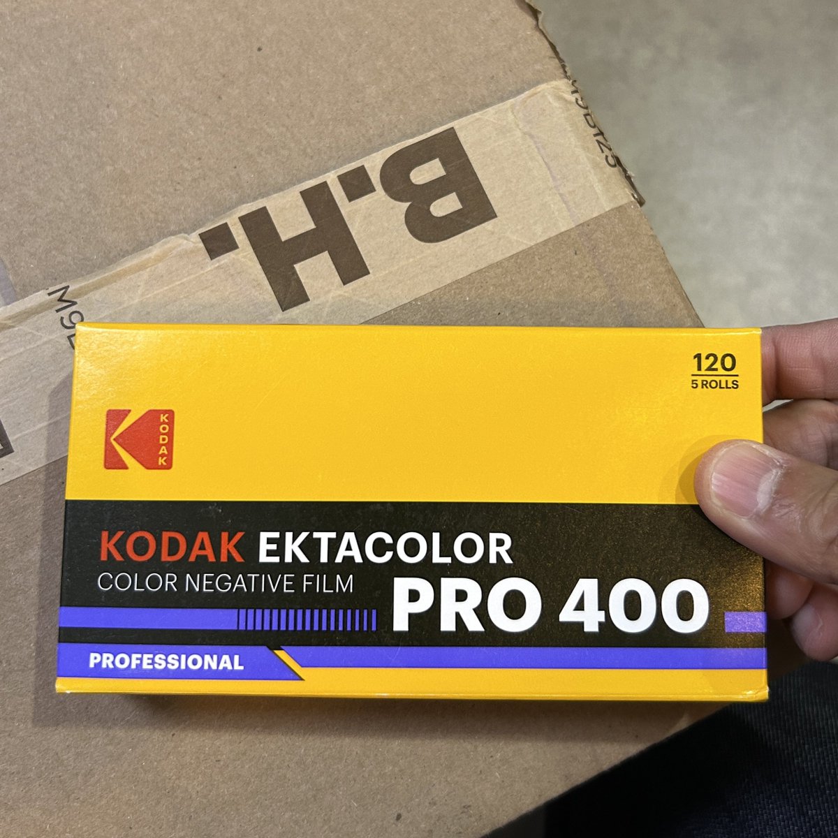 うた(毎月大判フィルム買う生活) tweet media