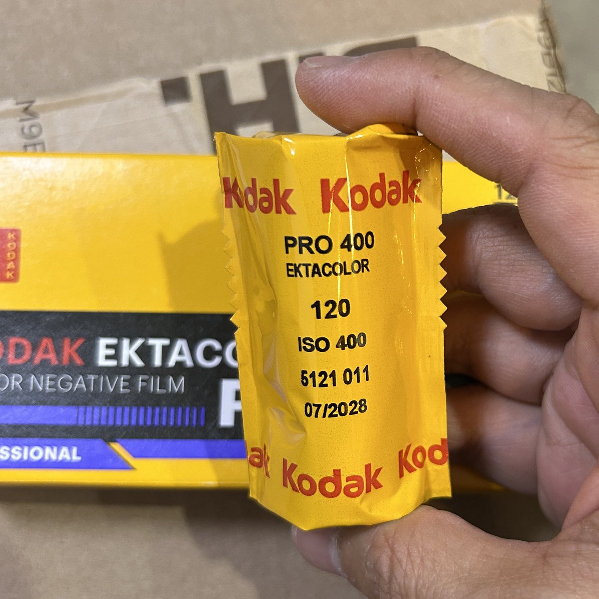 うた(毎月大判フィルム買う生活) tweet media