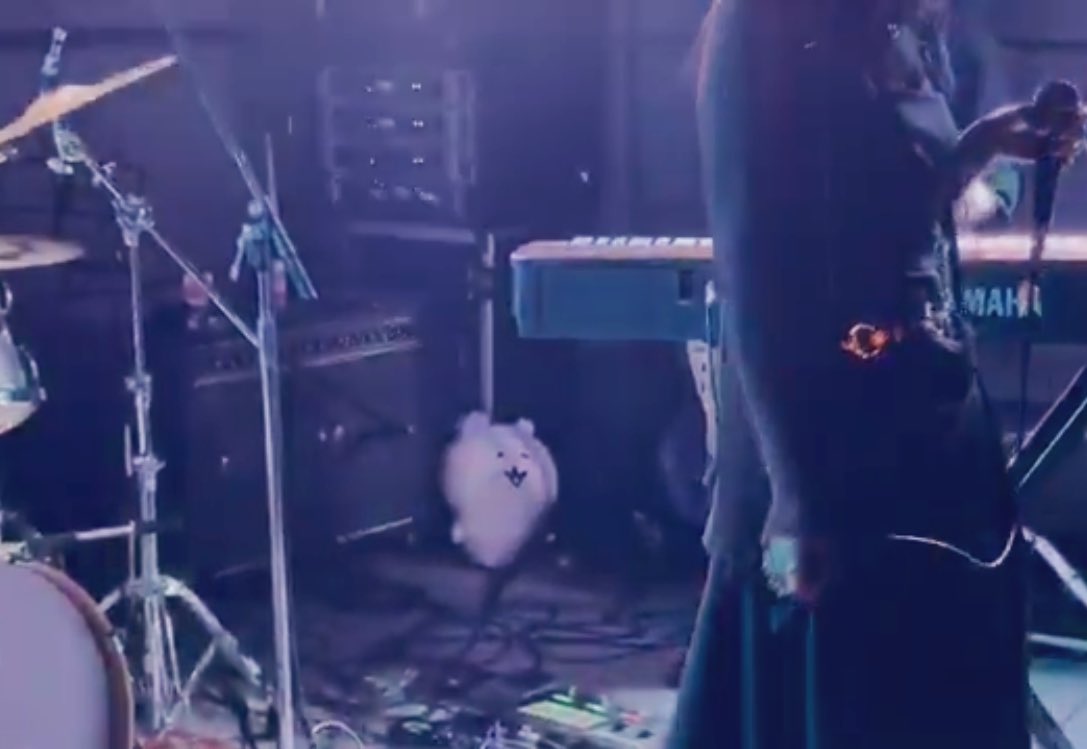 なくらくらずむ☪︎ tweet media