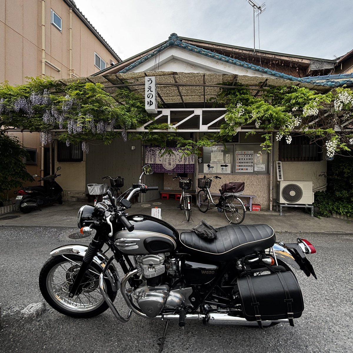 マッチ万年夏休み tweet media