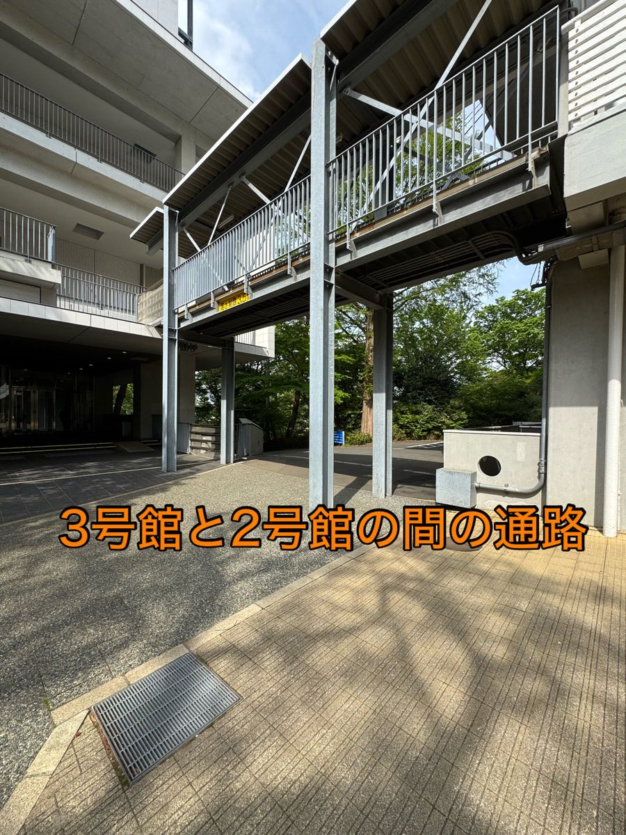 成城大学 生物部 tweet media