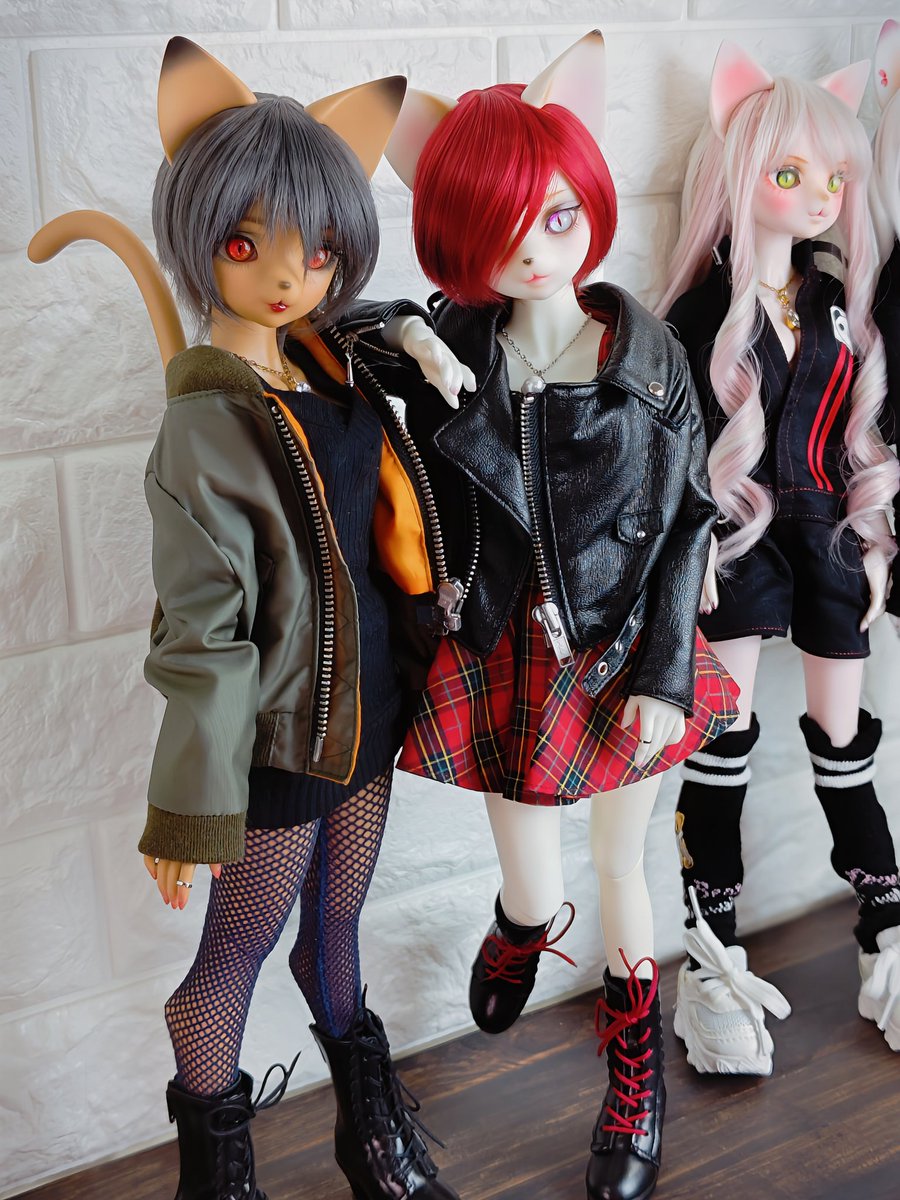 Rough-looking cats

#DearMine