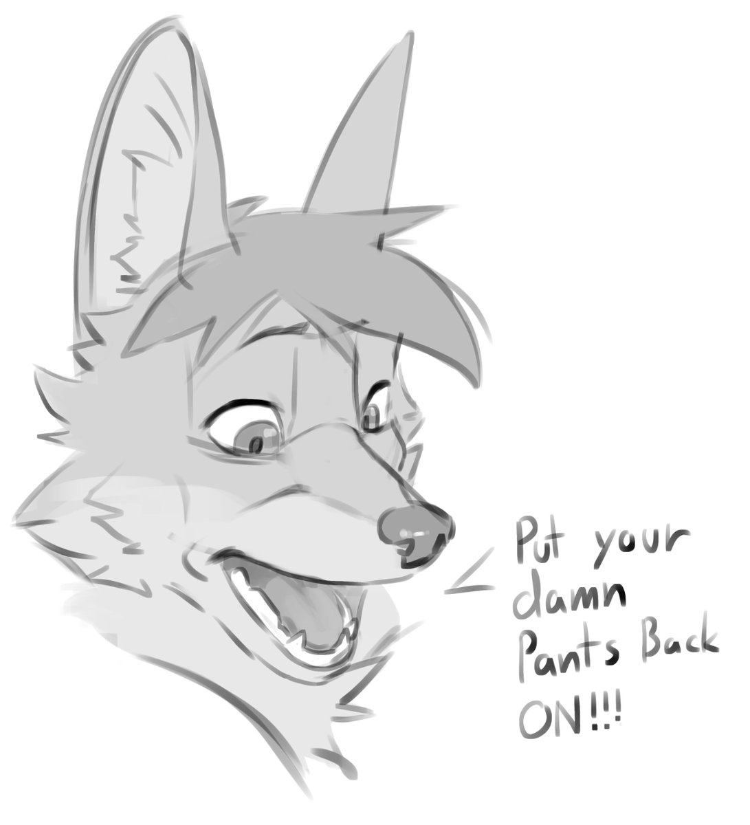 N0d1x's tweet image. YOU HEARD HIM!

#furryfandom #furryart #doodle