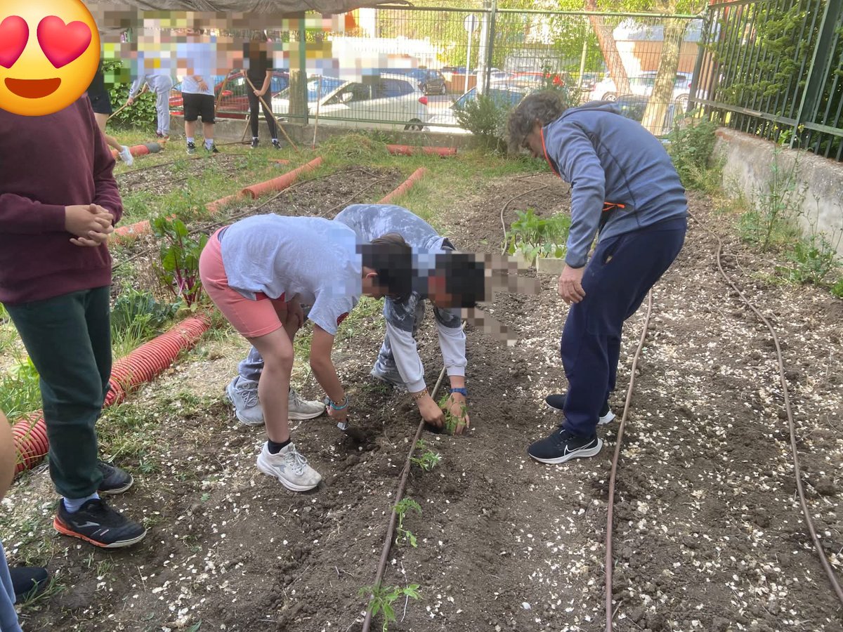 Trabajos en el huerto y compostera con los alumnos de sexto.