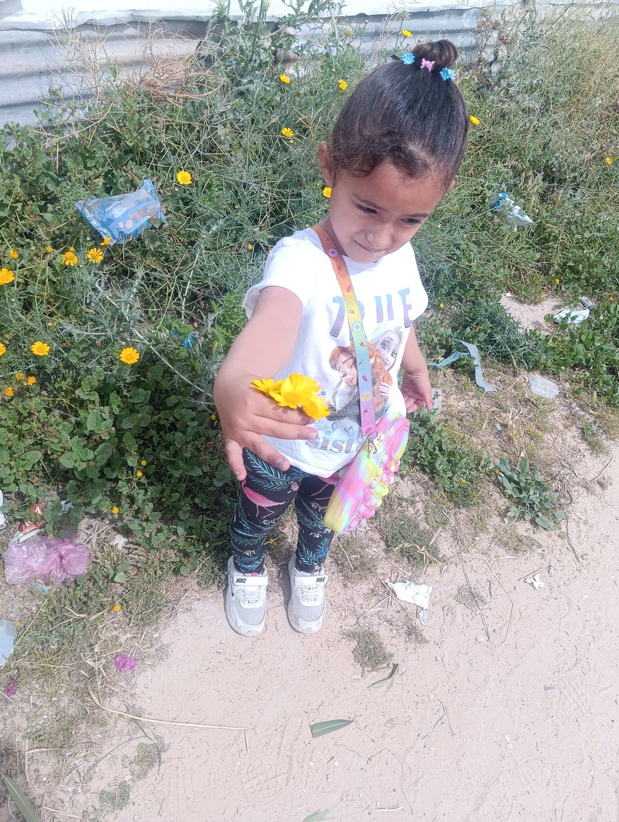 abeermajed tweet media