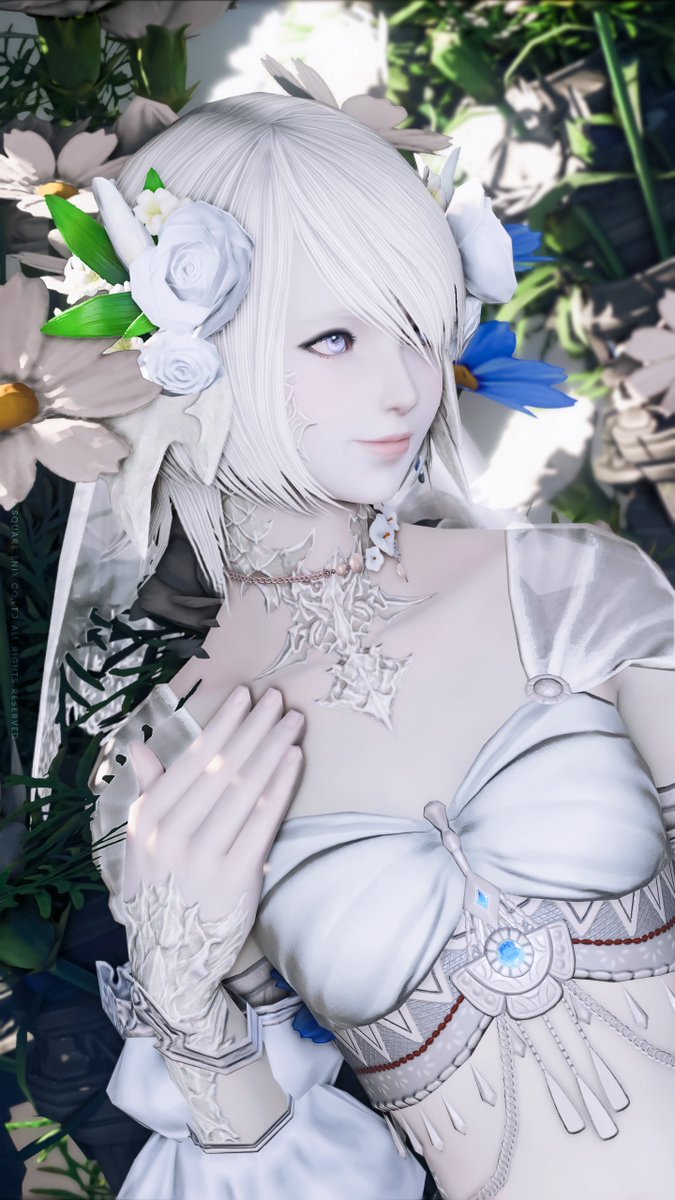 なおまる🦭 tweet media