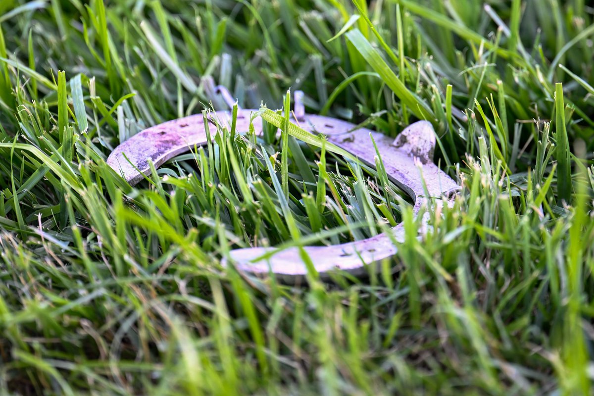 だいゆい tweet media