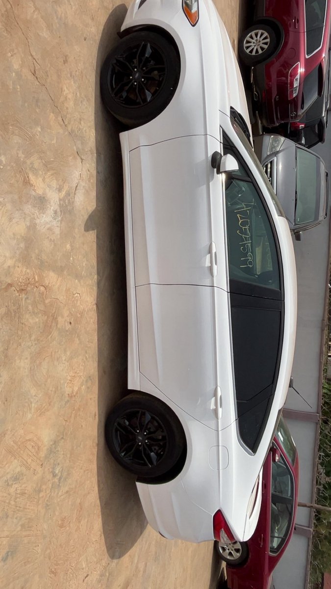 TRADER DAN tweet media