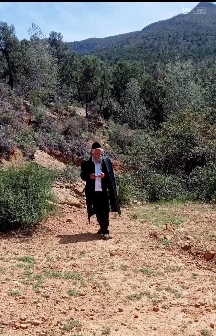 سي مربوح المنتصر ⁦🇵🇸🇪🇦 tweet media