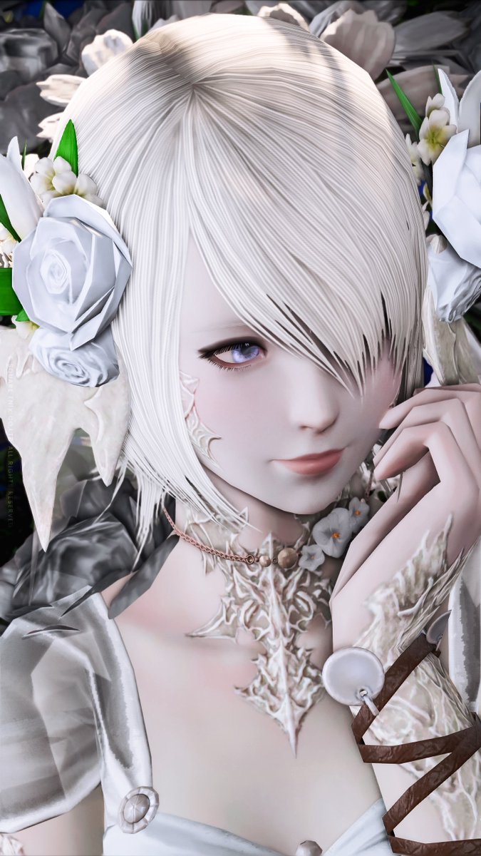 なおまる🦭 tweet media