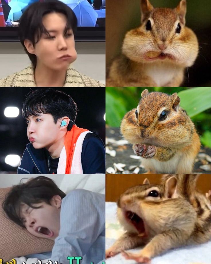 <a href="/AboutMusicYT/">About Music</a>