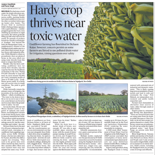 appriseParas's tweet image. Highly polluted water from Najafgarh &amp;amp; Mungeshpur drain being used to cultivate vegetables across SW Delhi. 

IIT studies have detected heavy metals in drain– chromium (Cr), copper (Cu), cadmium (Cd), zinc (Zn), nickel (Ni) and lead (Pb) up to 50 times the permissible limits