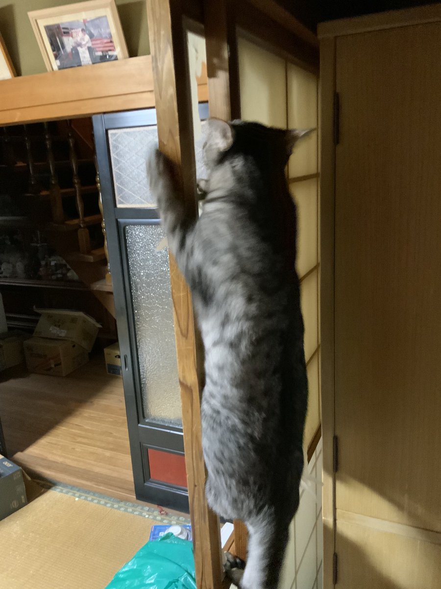 ゆう tweet media