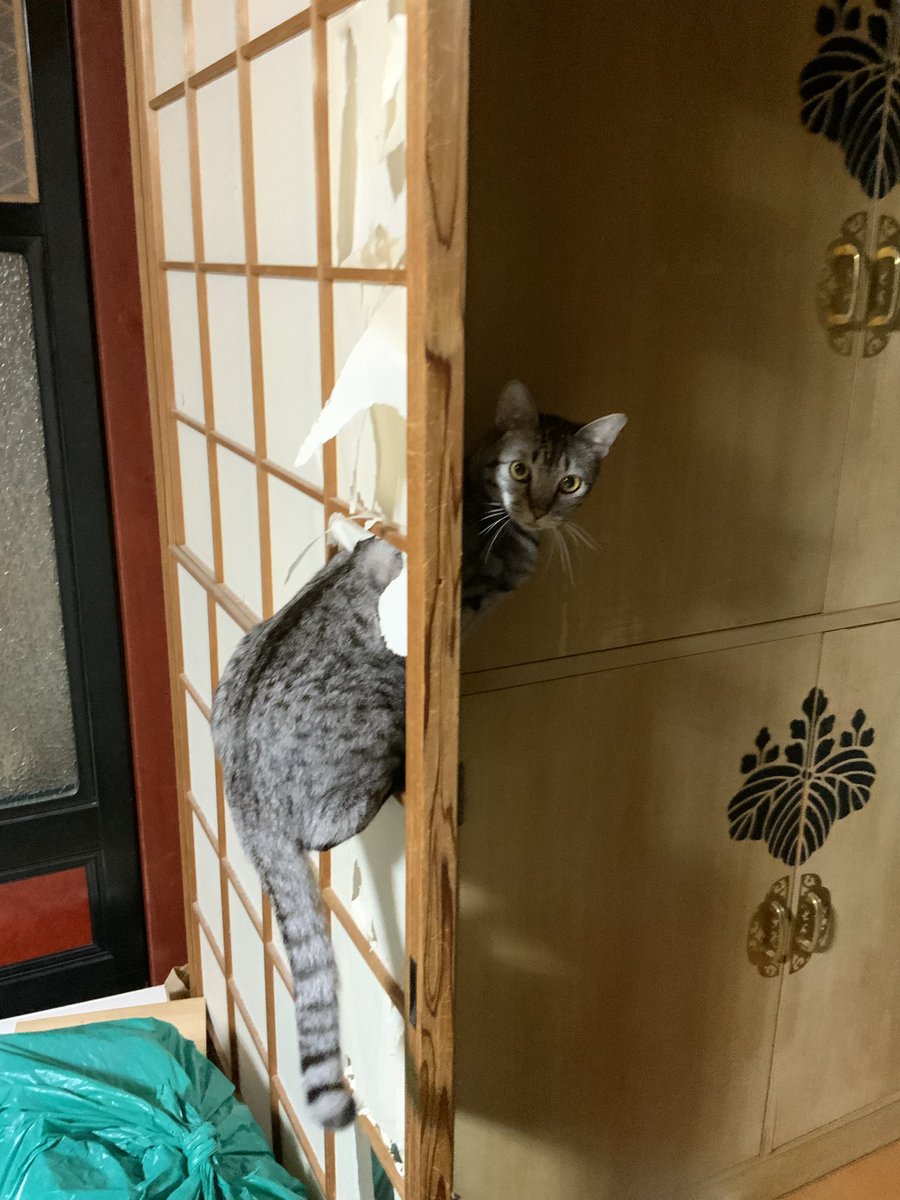 ゆう tweet media