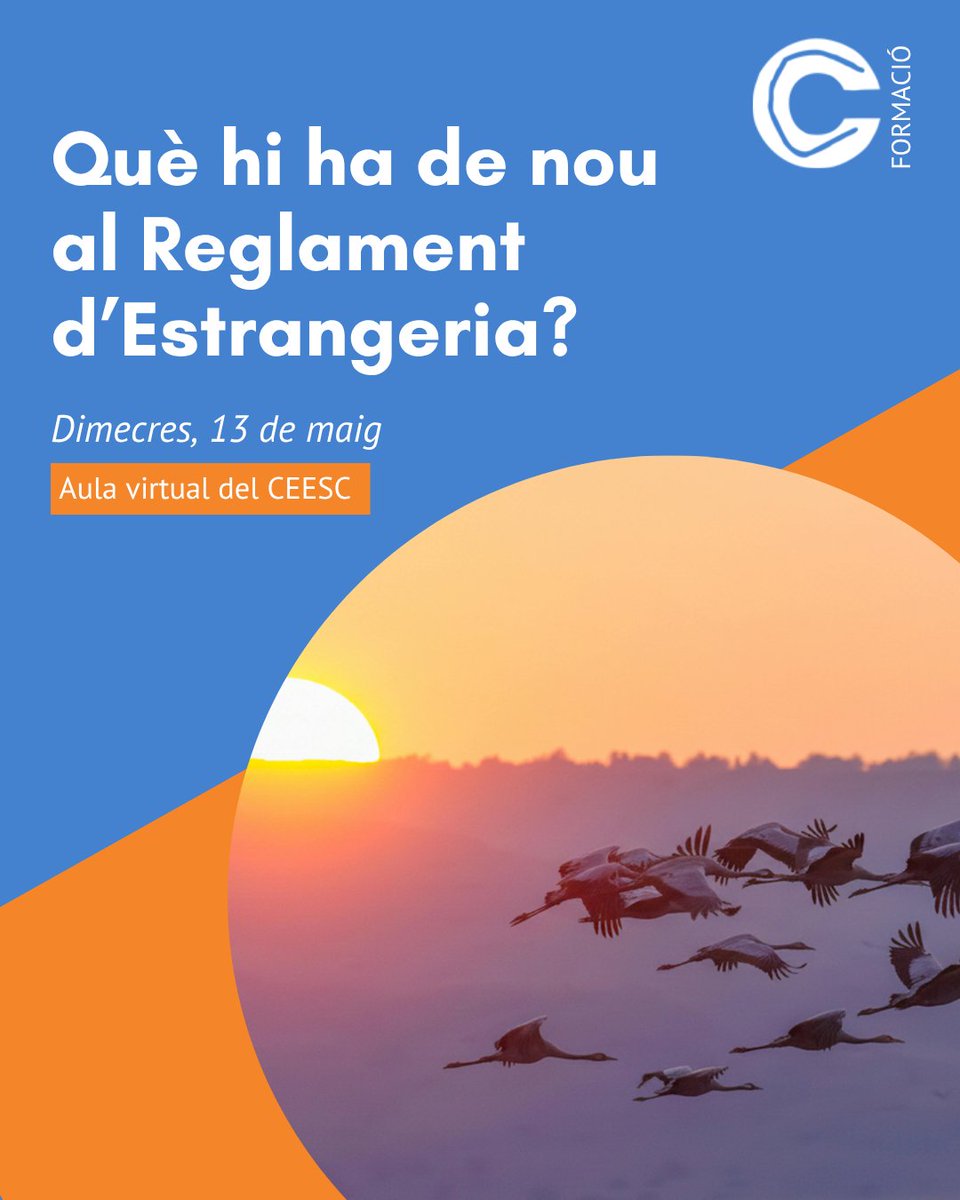 ceesc_cat tweet media