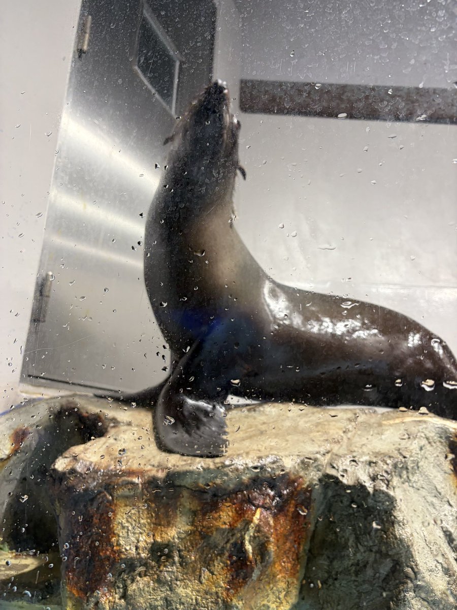 ひな。❕🤍 tweet media