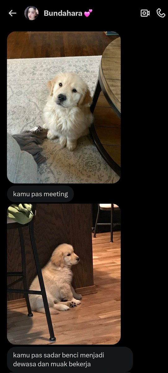 Sakya, Hardinata. tweet media