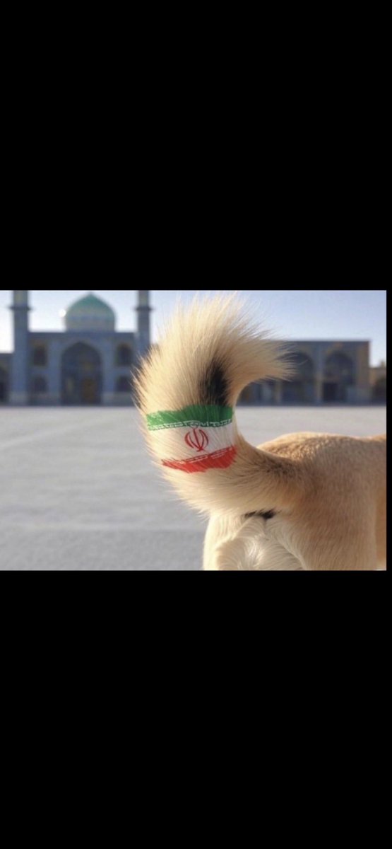 القرني tweet media